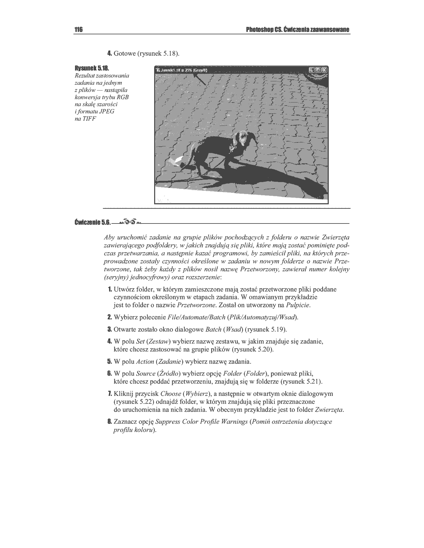 Fragment „Photoshop CS. Ćwiczenia zaawansowane” — strona 12 z 25