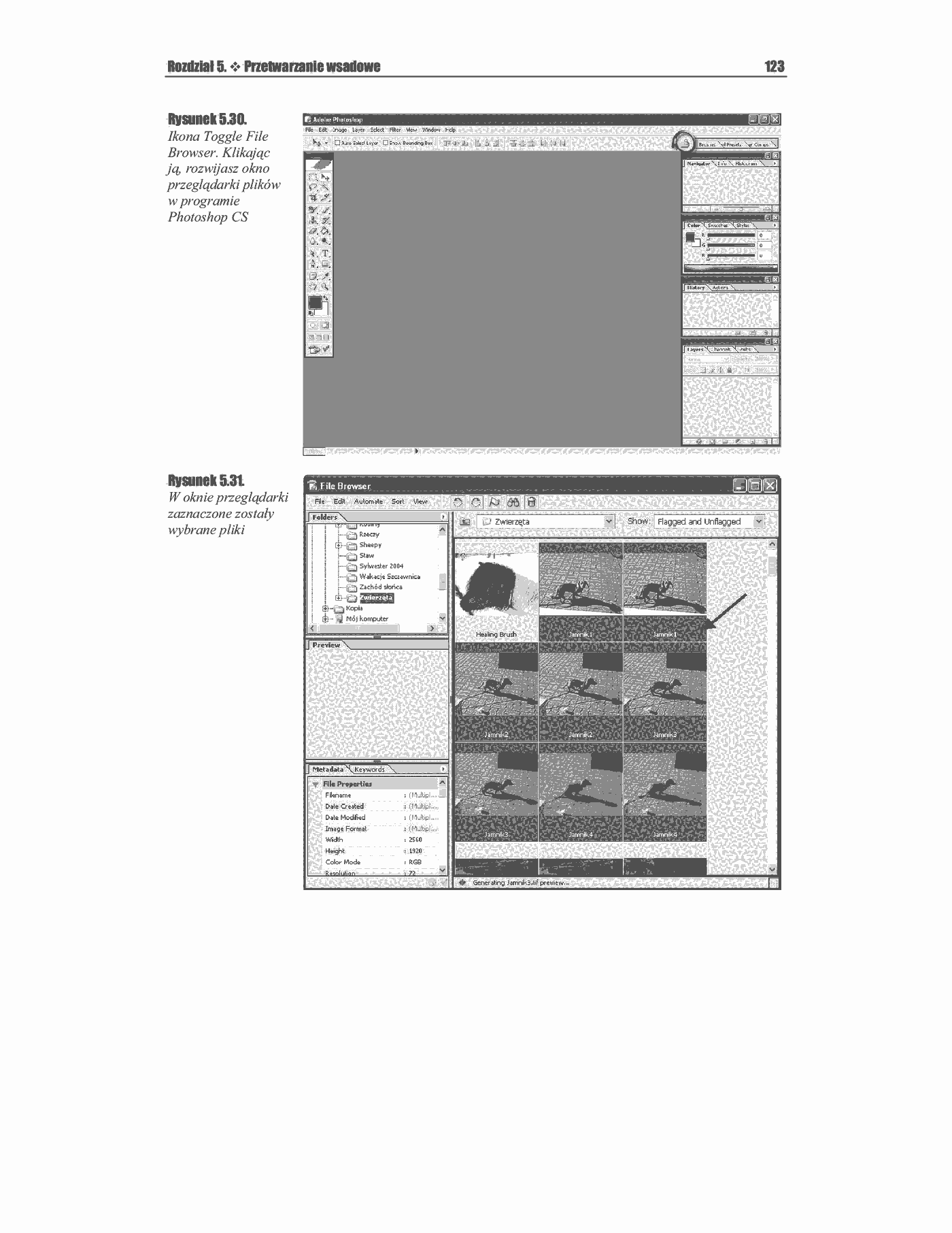 Fragment „Photoshop CS. Ćwiczenia zaawansowane” — strona 19 z 25