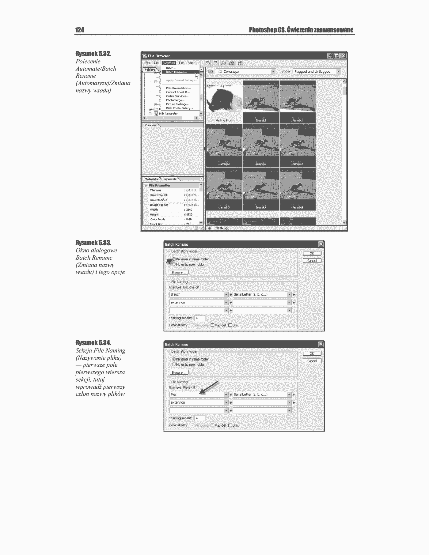 Fragment „Photoshop CS. Ćwiczenia zaawansowane” — strona 20 z 25