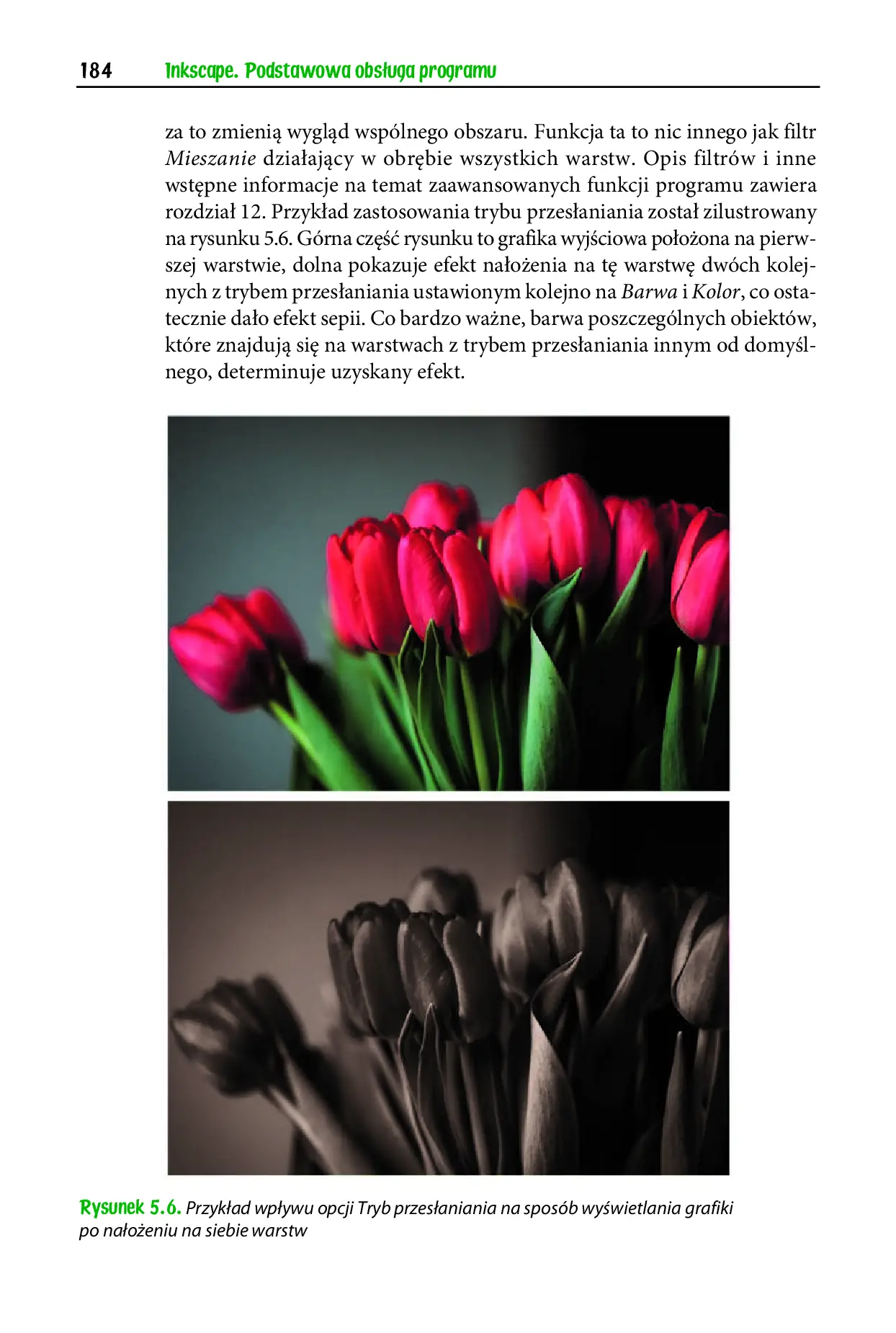 Fragment „Inkscape. Podstawowa obsługa programu. wydanie II rozszerzone i uzupełnione” — strona 14 z 16