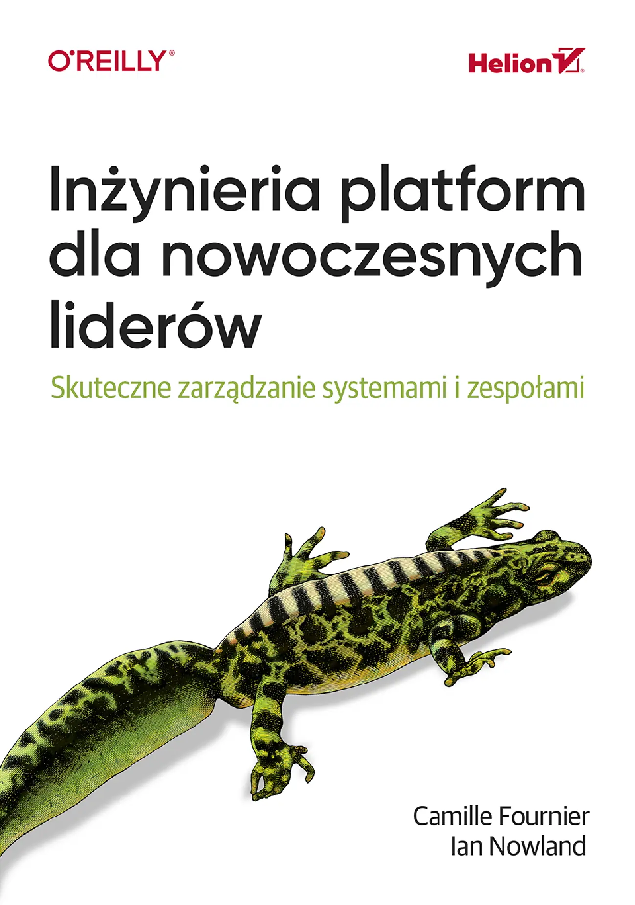 Fragment „Inżynieria platform dla nowoczesnych liderów. Skuteczne zarządzanie systemami i zespołami” — strona 1 z 30