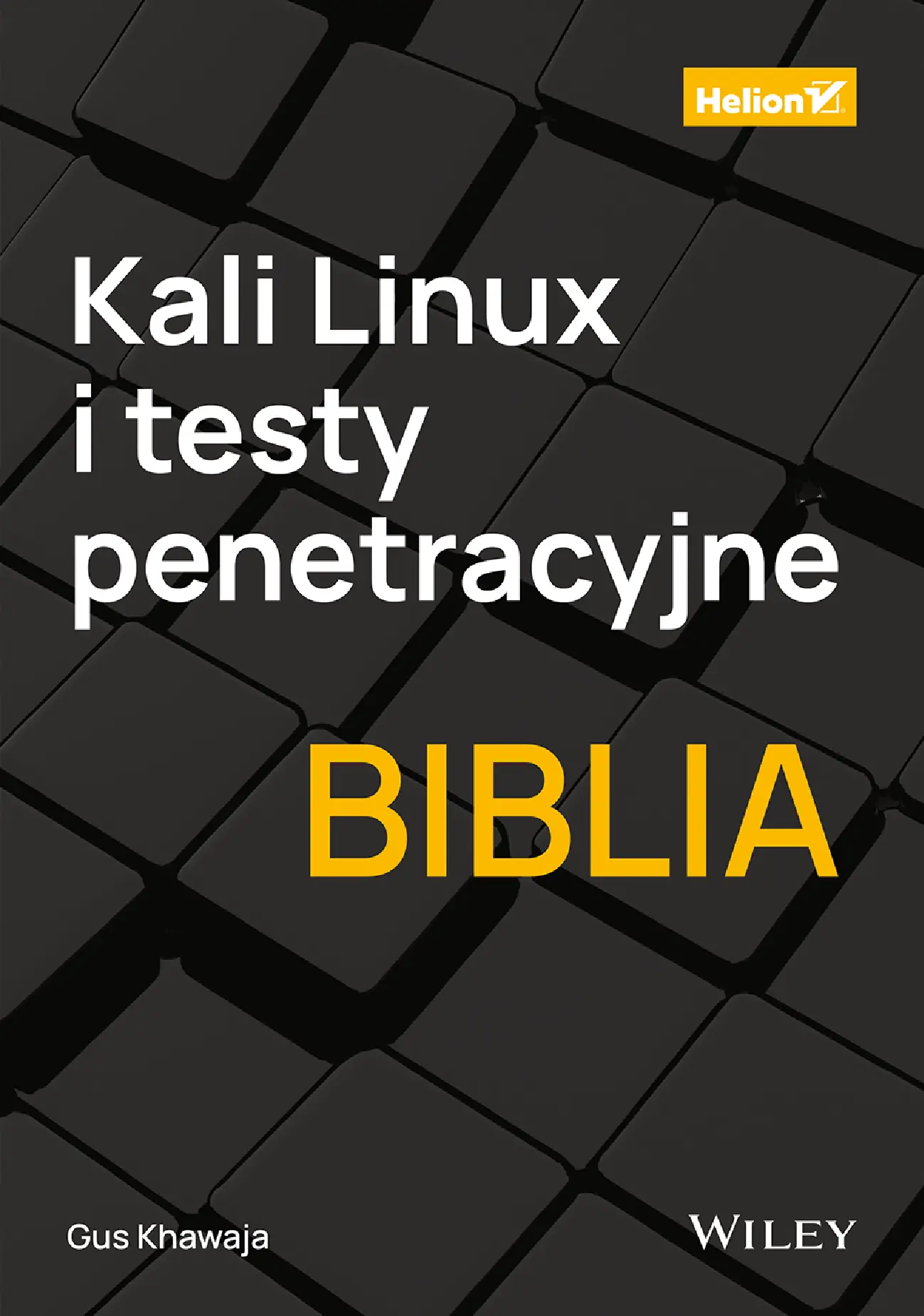 Fragment „Kali Linux i testy penetracyjne. Biblia” — strona 1 z 30