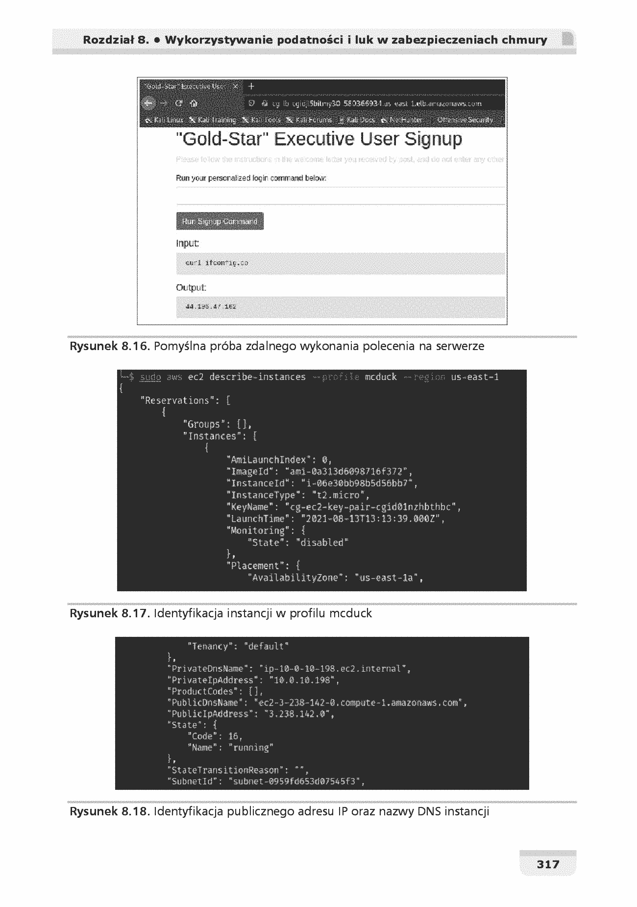 Fragment „Kali Linux i zaawansowane testy penetracyjne. Zostań ekspertem cyberbezpieczeństwa za pomocą Metasploit, Nmap, Wireshark i Burp Suite. Wydanie IV” — strona 23 z 30