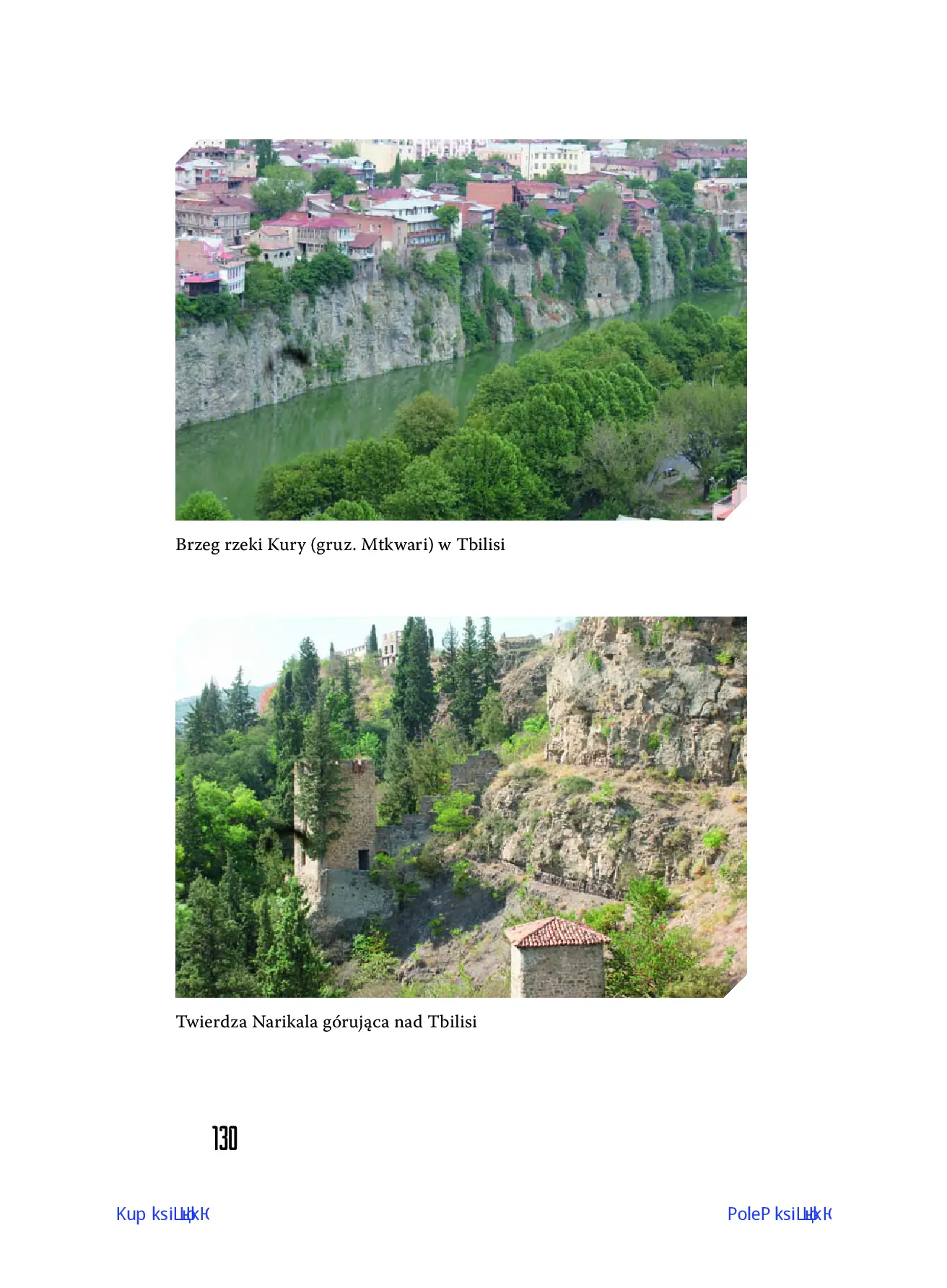 Fragment „Klątwa gruzińskiego tortu” — strona 9 z 20