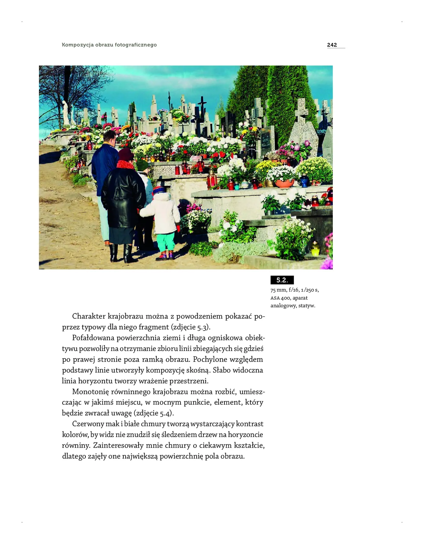 Fragment „Kompozycja obrazu fotograficznego” — strona 9 z 25