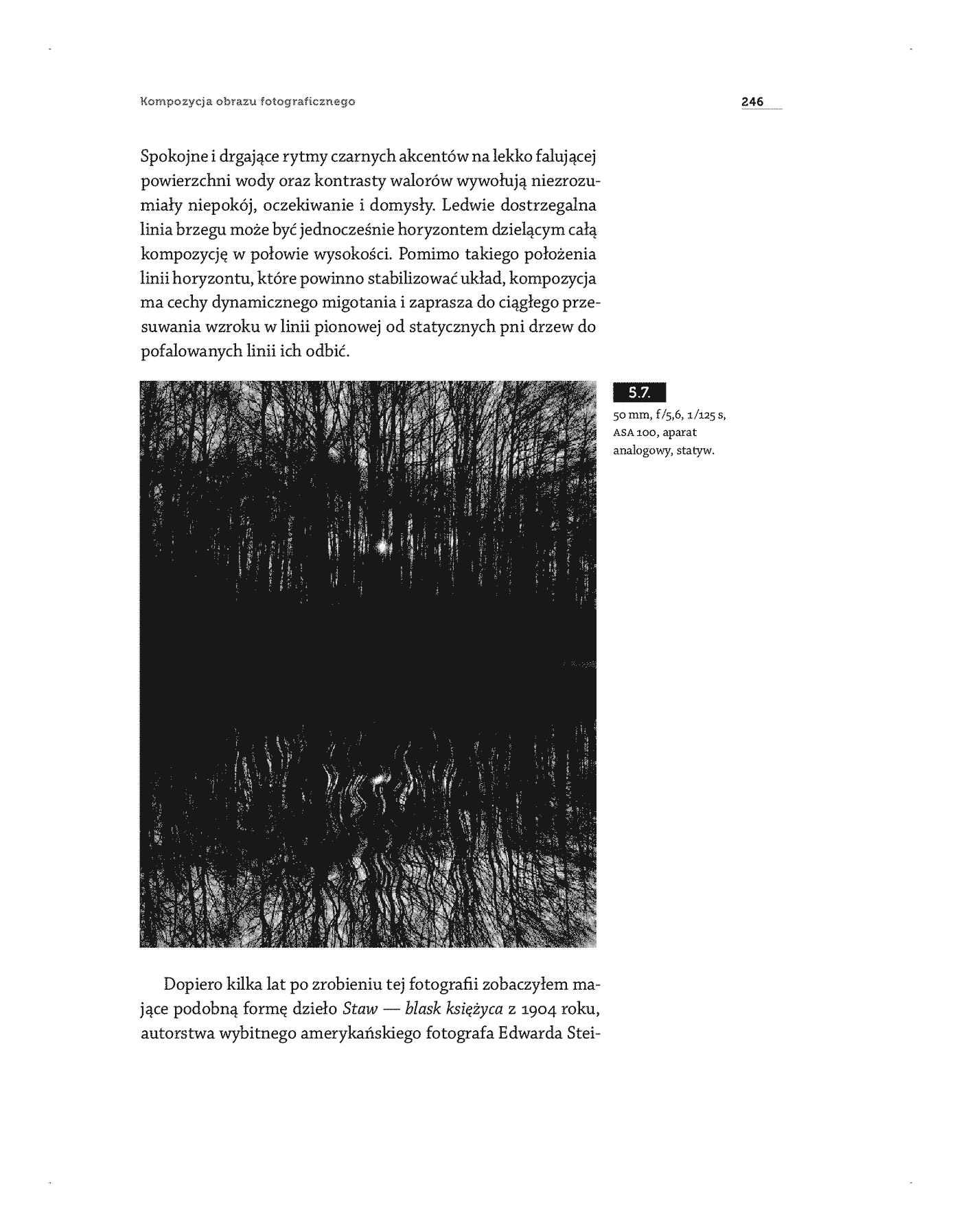 Fragment „Kompozycja obrazu fotograficznego” — strona 13 z 25