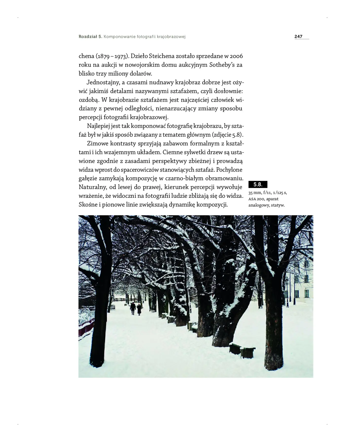 Fragment „Kompozycja obrazu fotograficznego” — strona 14 z 25
