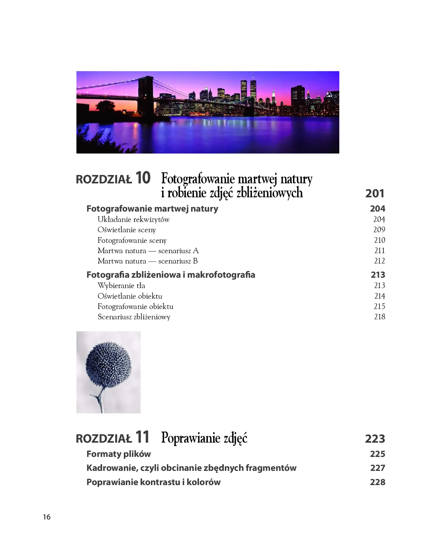 Fragment „Kompozycja. Warsztaty fotograficzne” — strona 7 z 30