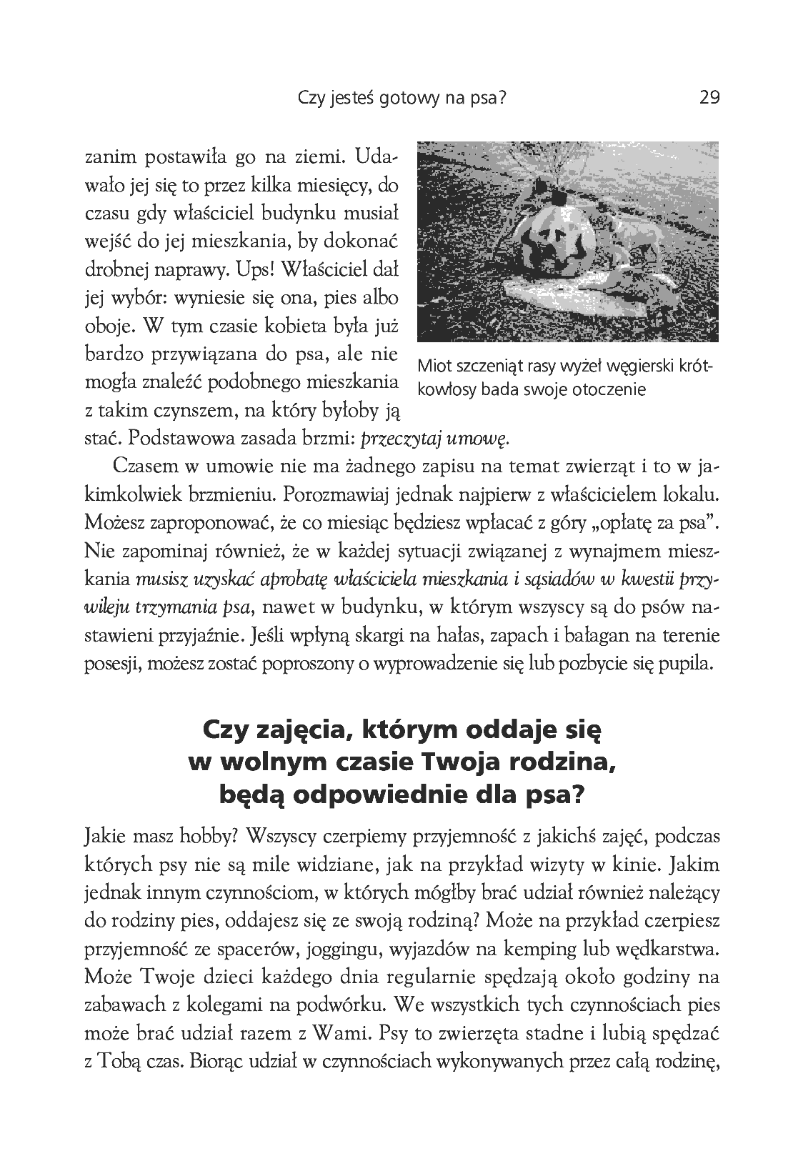 Fragment „Proszę, kup mi psa! Co robić, gdy nasza pociecha chce mieć czworonoga” — strona 11 z 18