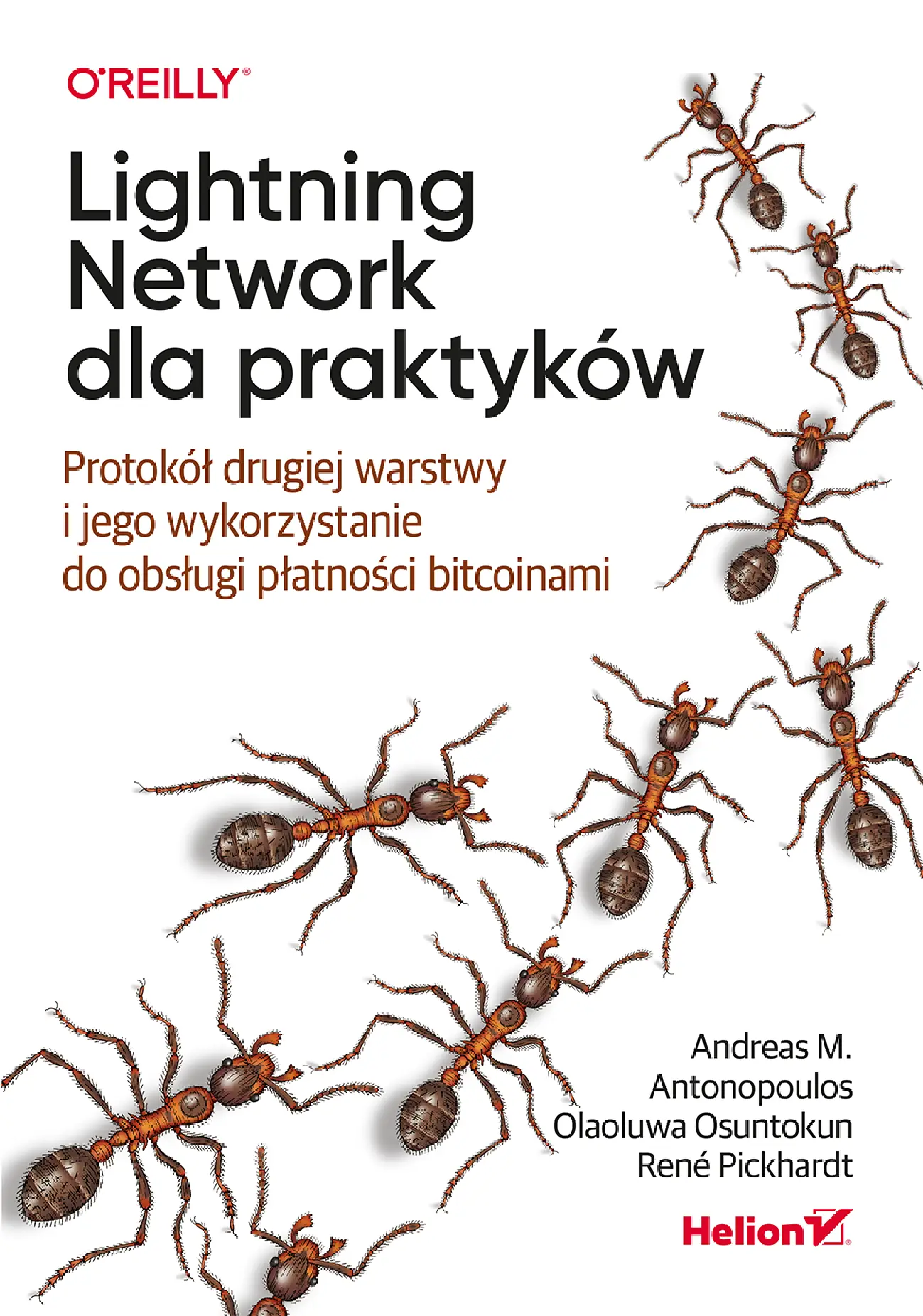 Fragment „Lightning Network dla praktyków. Protokół drugiej warstwy i jego wykorzystanie do obsługi płatności bitcoinami” — strona 1 z 30