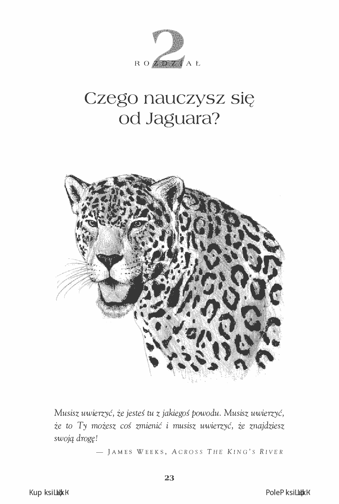 Fragment „Trening Jaguara. Obudź w sobie pewność siebie i osiągaj zamierzone cele. Wydanie II rozszerzone” — strona 7 z 26