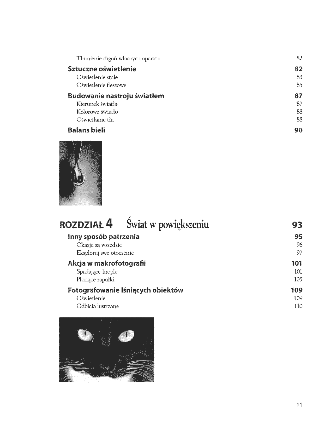 Fragment „Zdjęcia makro. Warsztaty fotograficzne” — strona 4 z 28