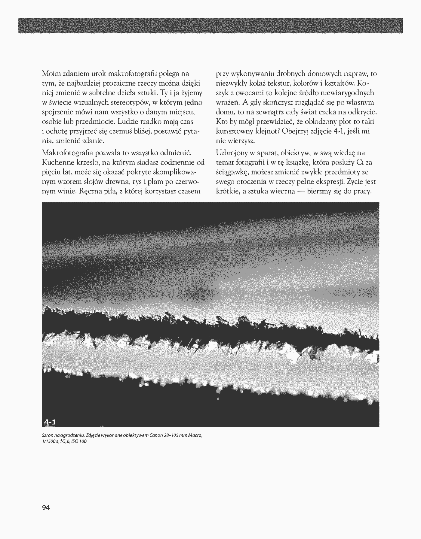 Fragment „Zdjęcia makro. Warsztaty fotograficzne” — strona 10 z 28