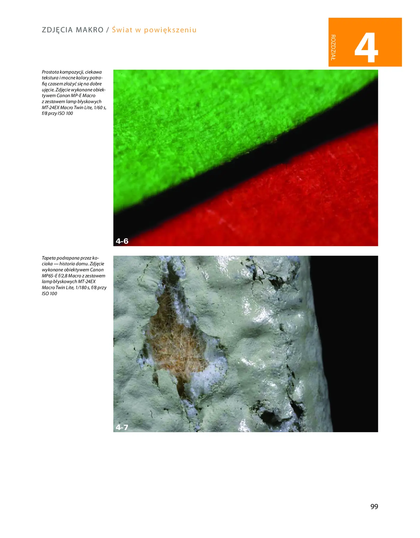 Fragment „Zdjęcia makro. Warsztaty fotograficzne” — strona 15 z 28