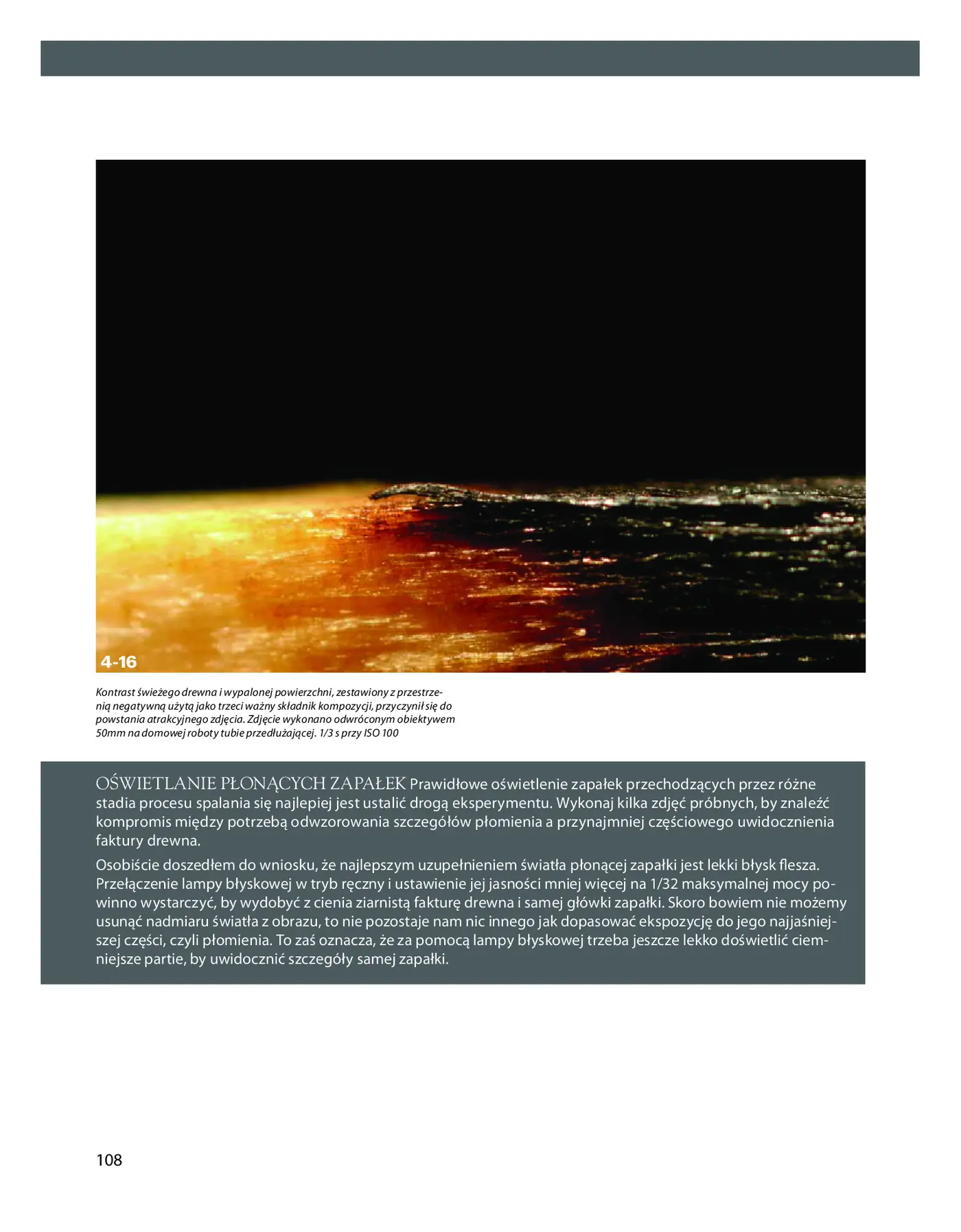 Fragment „Zdjęcia makro. Warsztaty fotograficzne” — strona 24 z 28