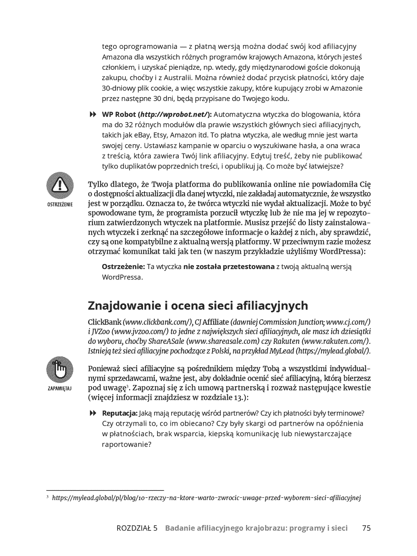 Fragment „Marketing afiliacyjny dla bystrzaków” — strona 21 z 30