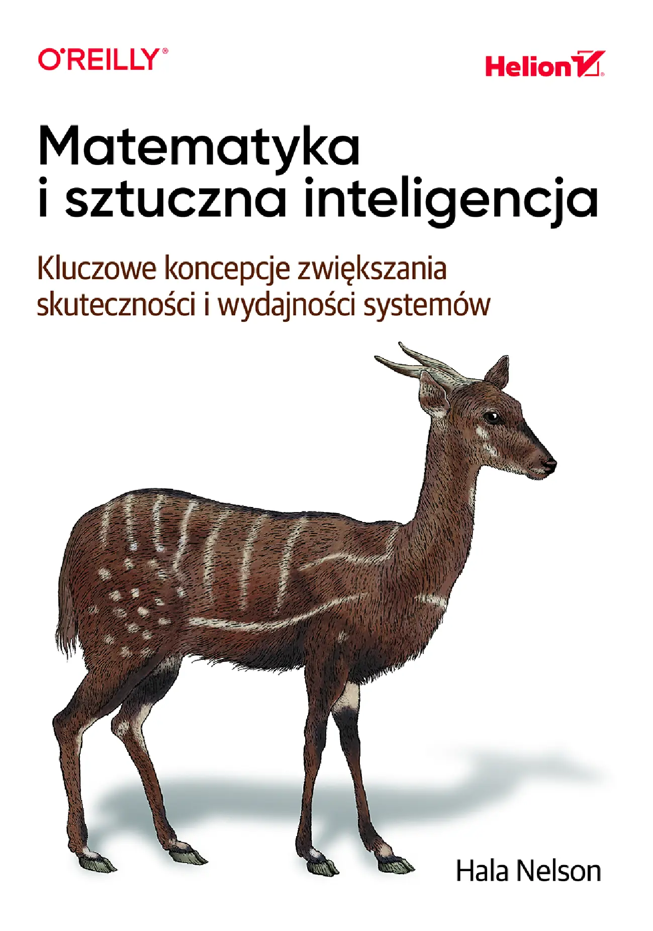Fragment „Matematyka i sztuczna inteligencja. Kluczowe koncepcje zwiększania skuteczności i wydajności systemów” — strona 1 z 30