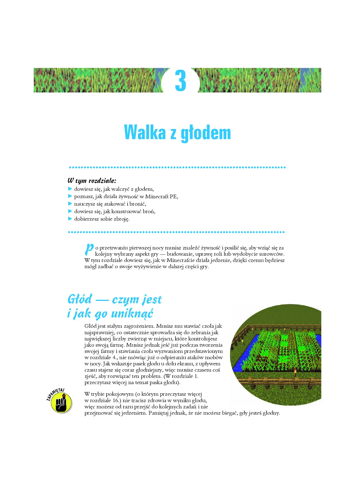 Fragment „Minecraft dla bystrzaków” — strona 11 z 30