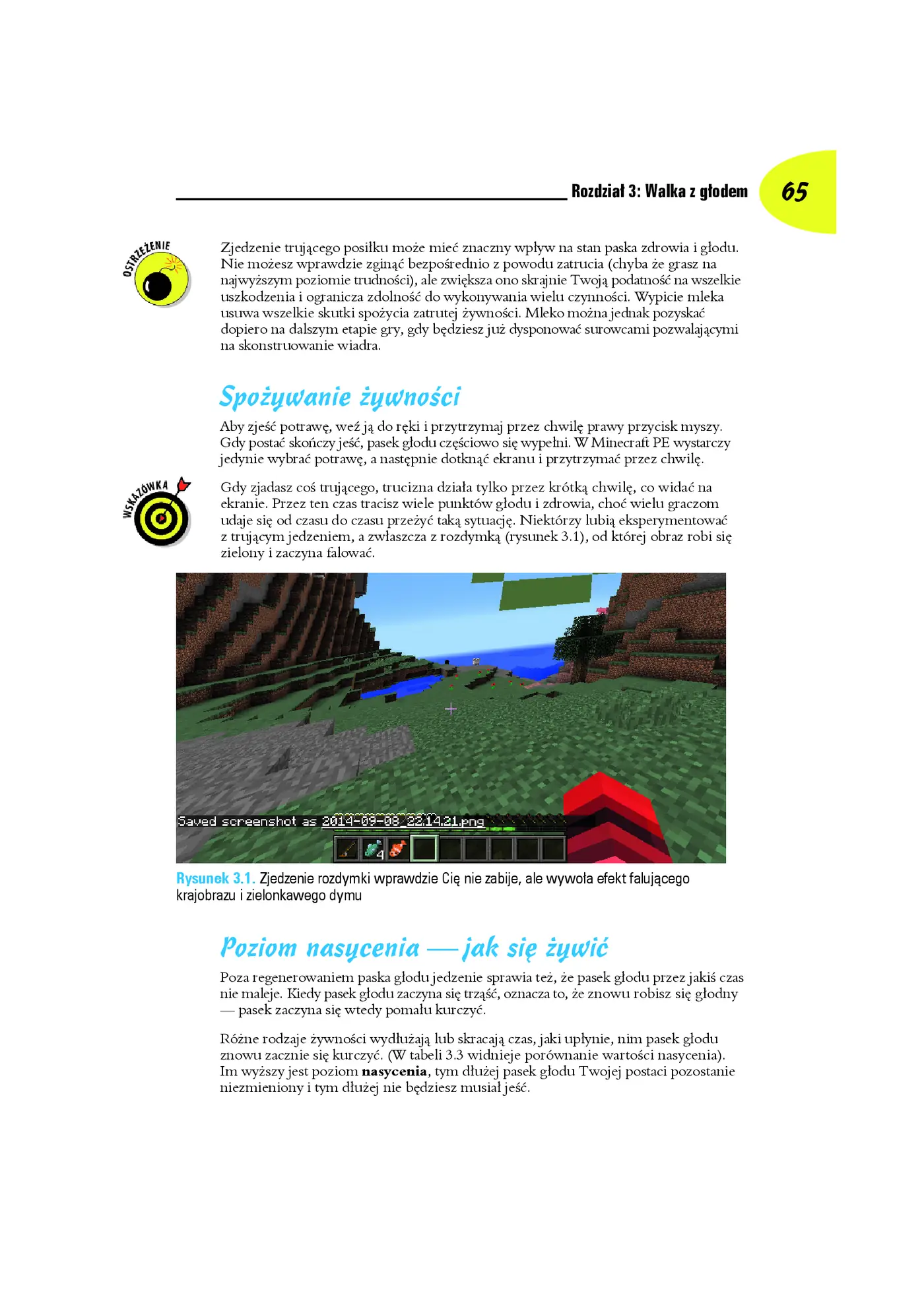 Fragment „Minecraft dla bystrzaków” — strona 15 z 30