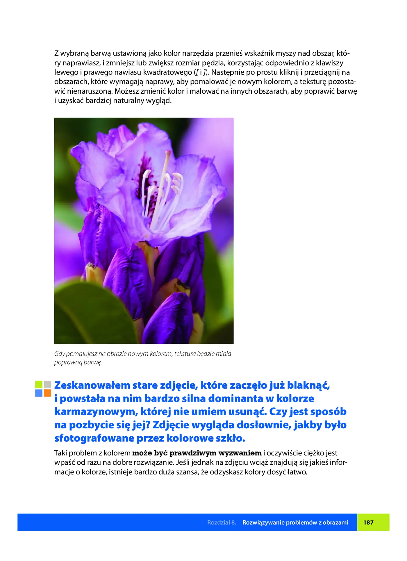 Fragment „Mistrzowskie ujęcia. Tim Grey o perfekcyjnej obróbce zdjęć” — strona 14 z 28