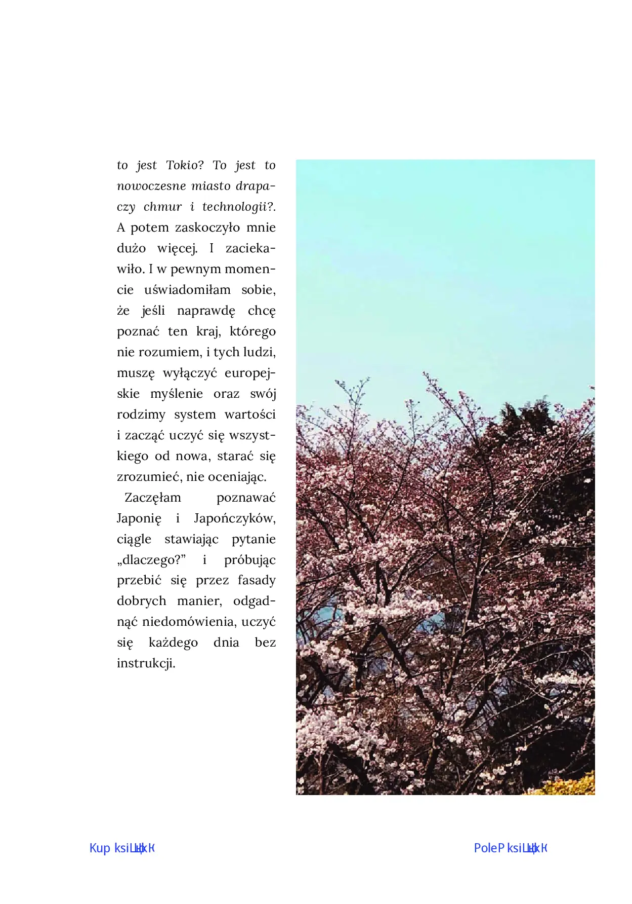 Fragment „Okno z widokiem na Fuji. Japonia - kraina szeptów i niedomówień” — strona 6 z 12