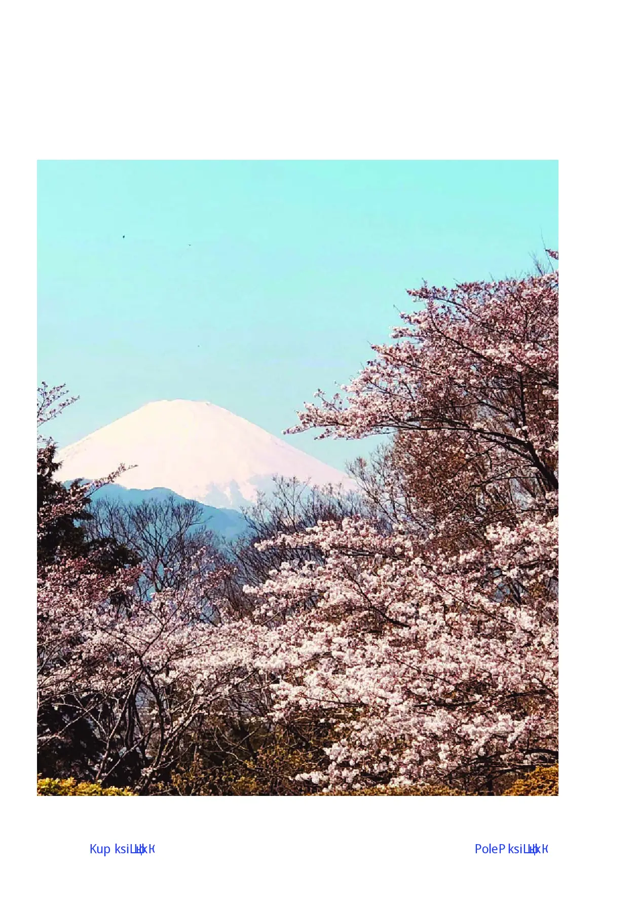 Fragment „Okno z widokiem na Fuji. Japonia - kraina szeptów i niedomówień” — strona 7 z 12