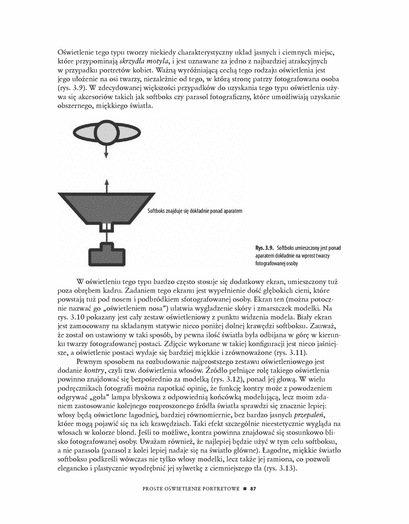 Fragment „Ciało. Profesjonalne oświetlenie i retusz w fotografii portretowej” — strona 13 z 30