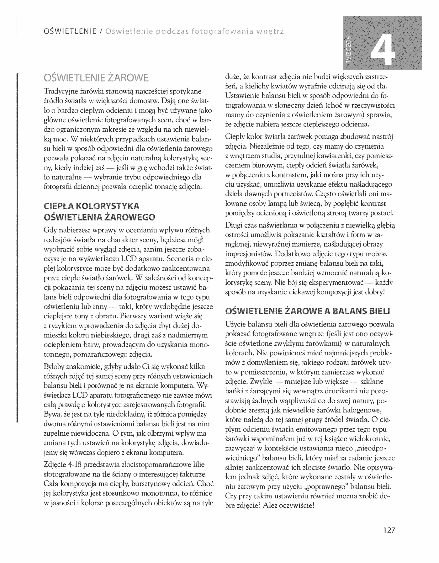 Fragment „Oświetlenie. Warsztaty fotograficzne” — strona 27 z 30