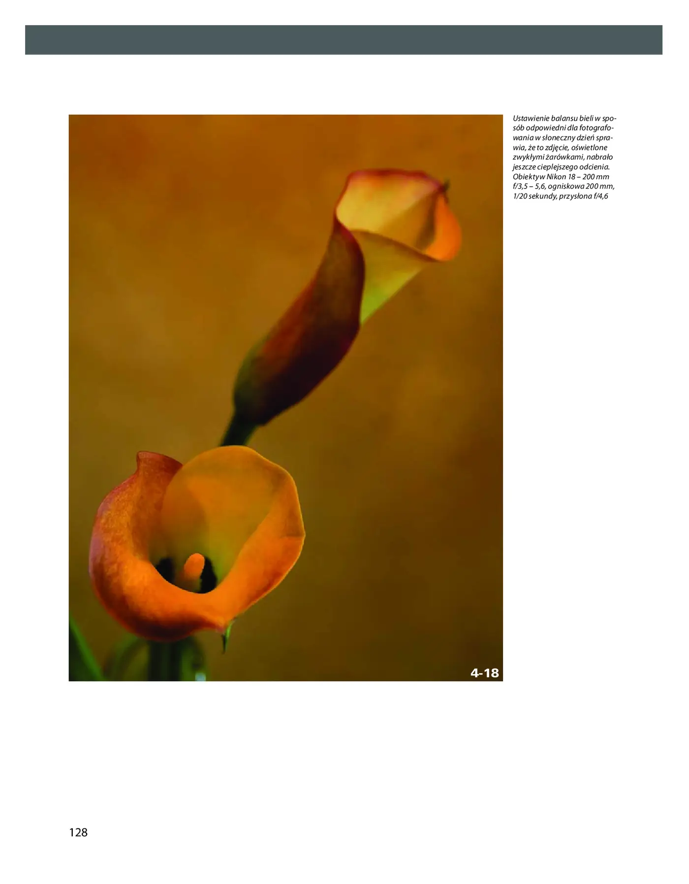 Fragment „Oświetlenie. Warsztaty fotograficzne” — strona 28 z 30