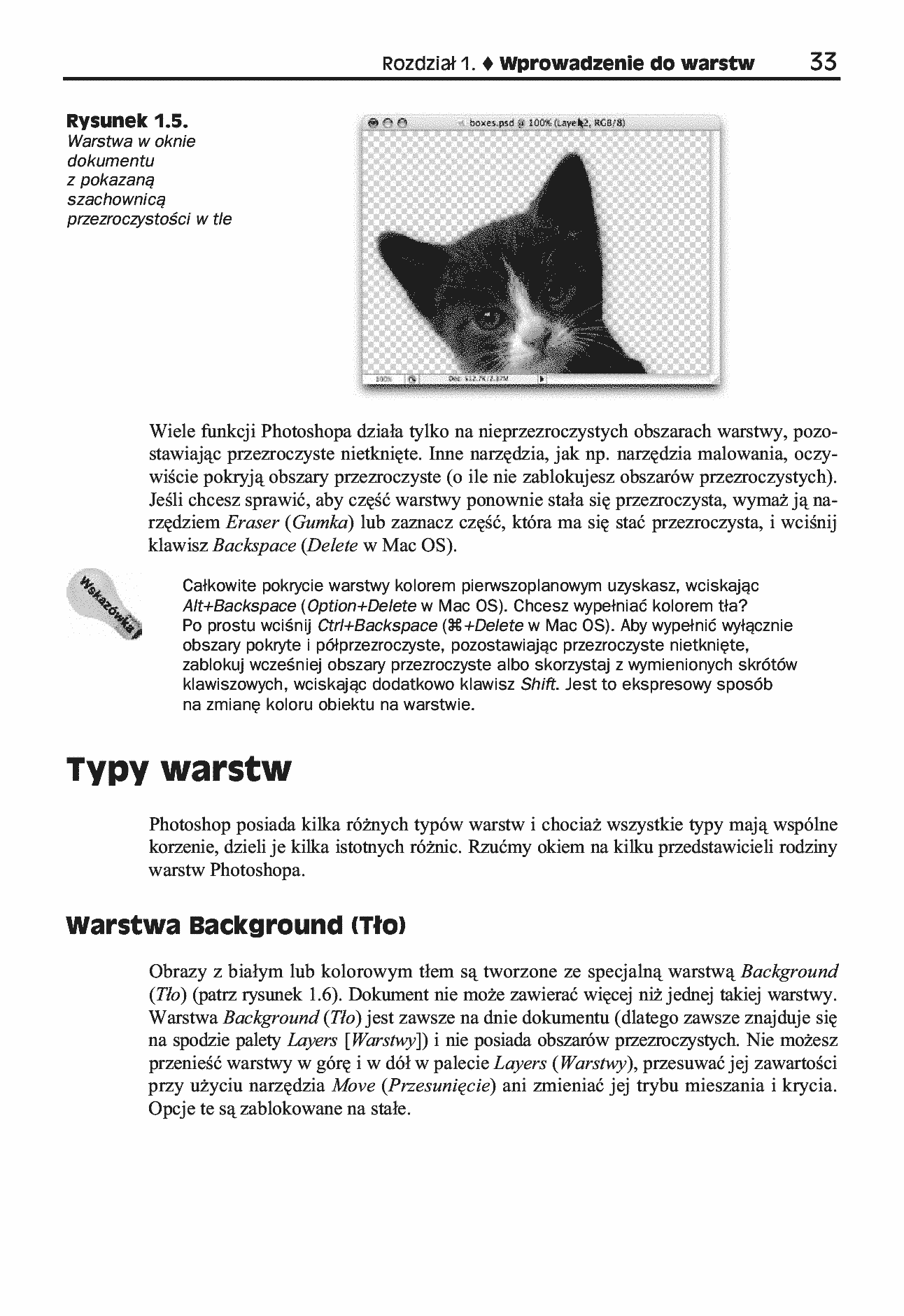 Fragment „Photoshop CS3/CS3 PL. Warstwy. Biblia” — strona 17 z 30