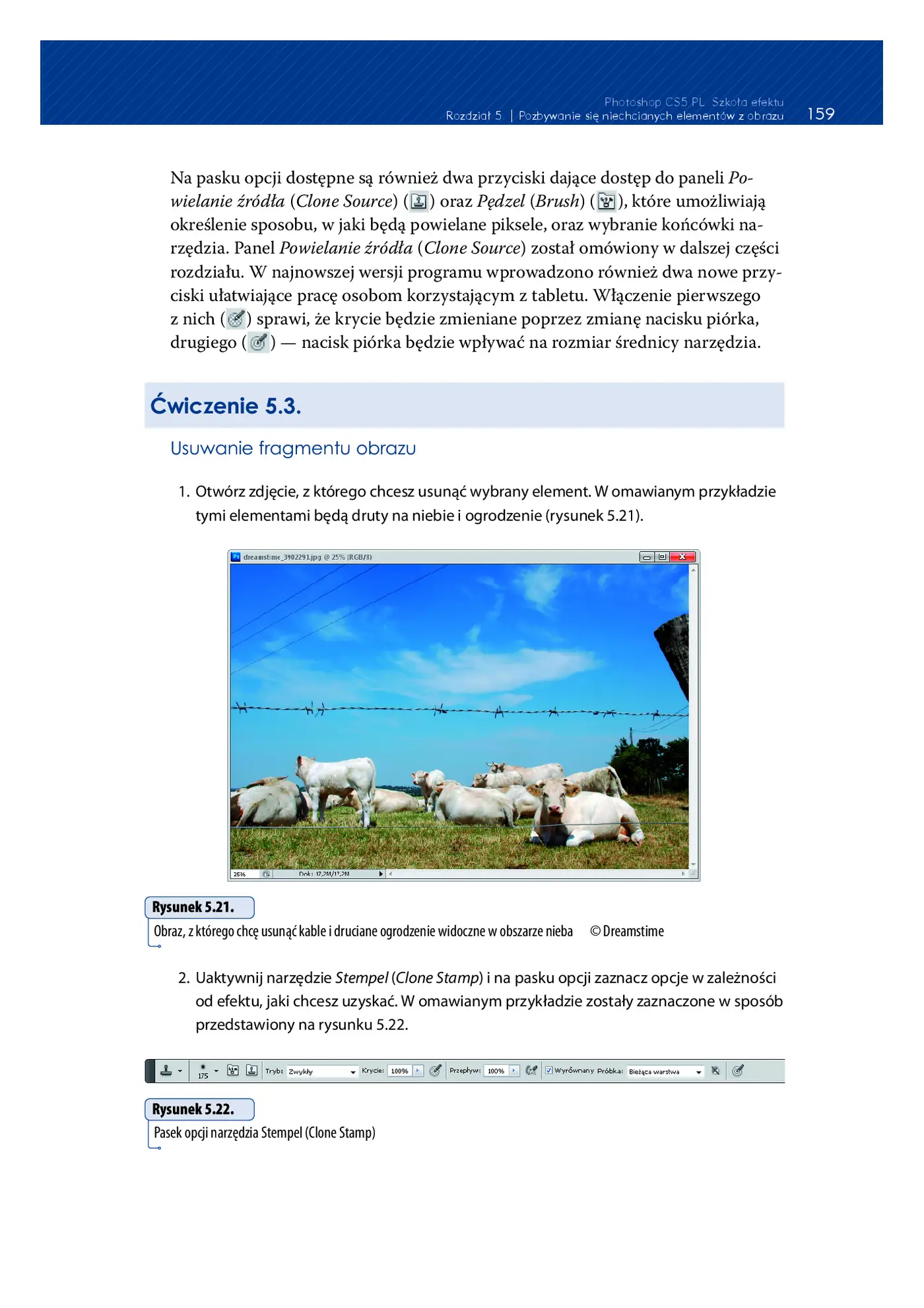 Fragment „Photoshop CS5 PL. Szkoła efektu” — strona 26 z 30