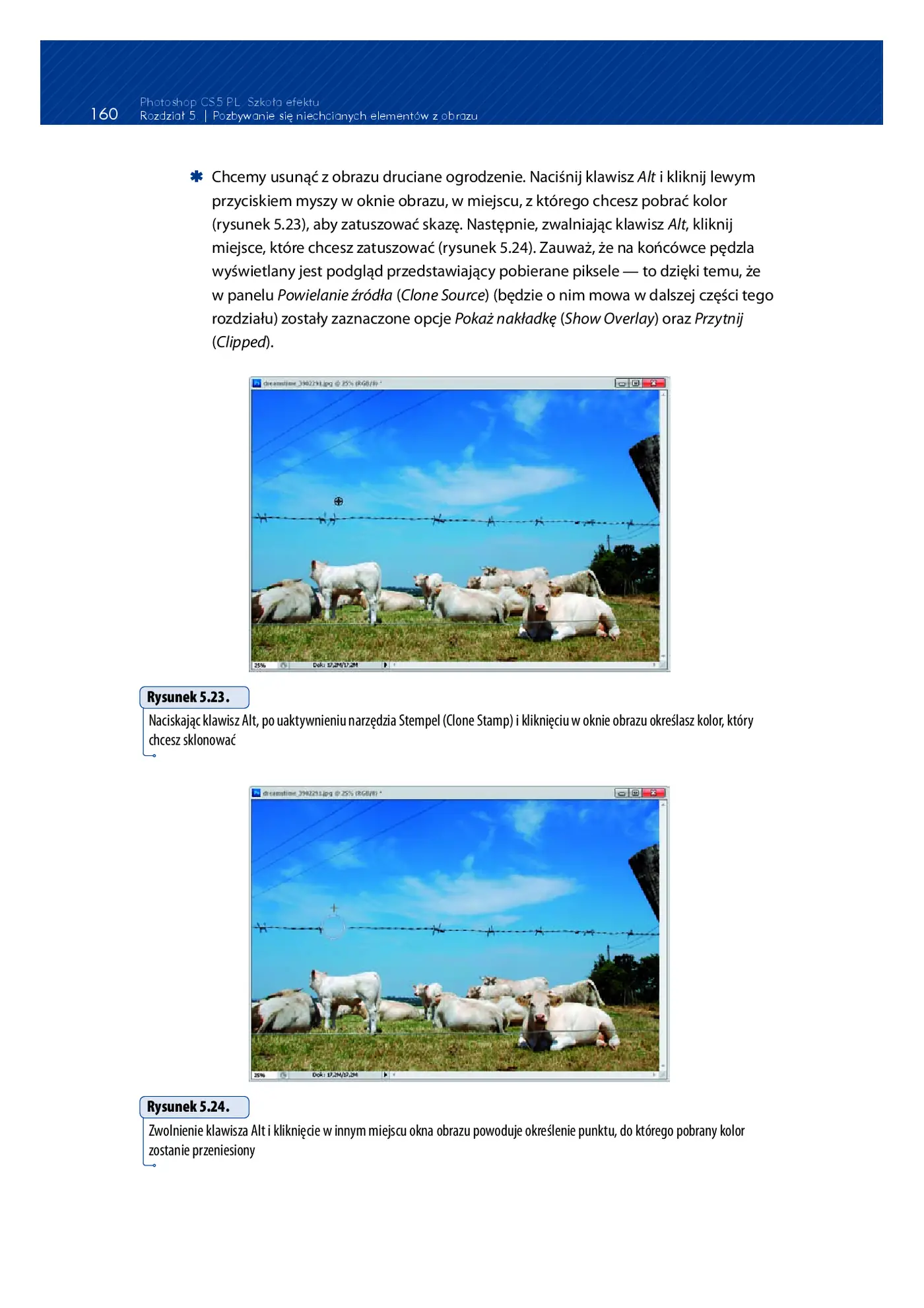 Fragment „Photoshop CS5 PL. Szkoła efektu” — strona 27 z 30