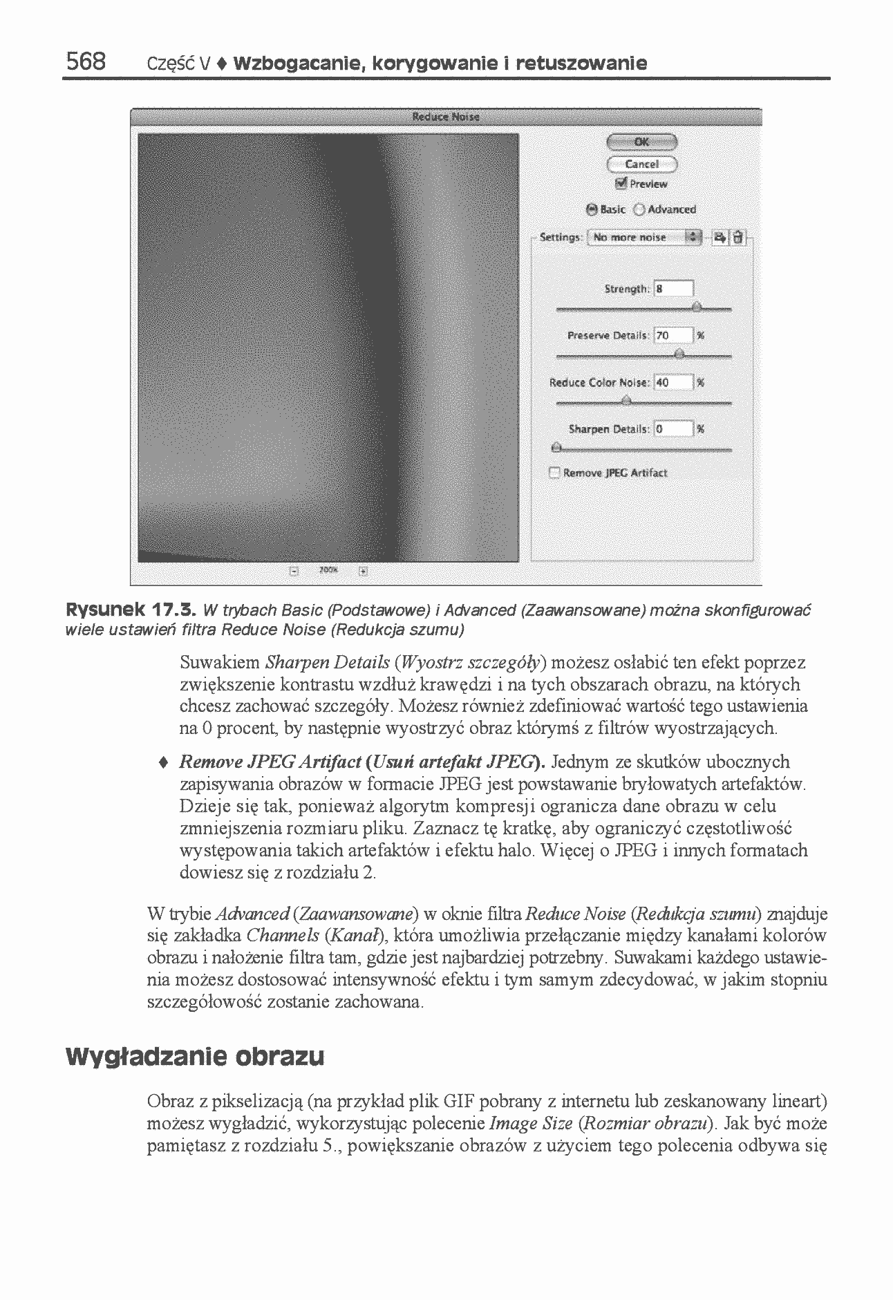 Fragment „Photoshop CS4/CS4 PL. Biblia” — strona 17 z 27