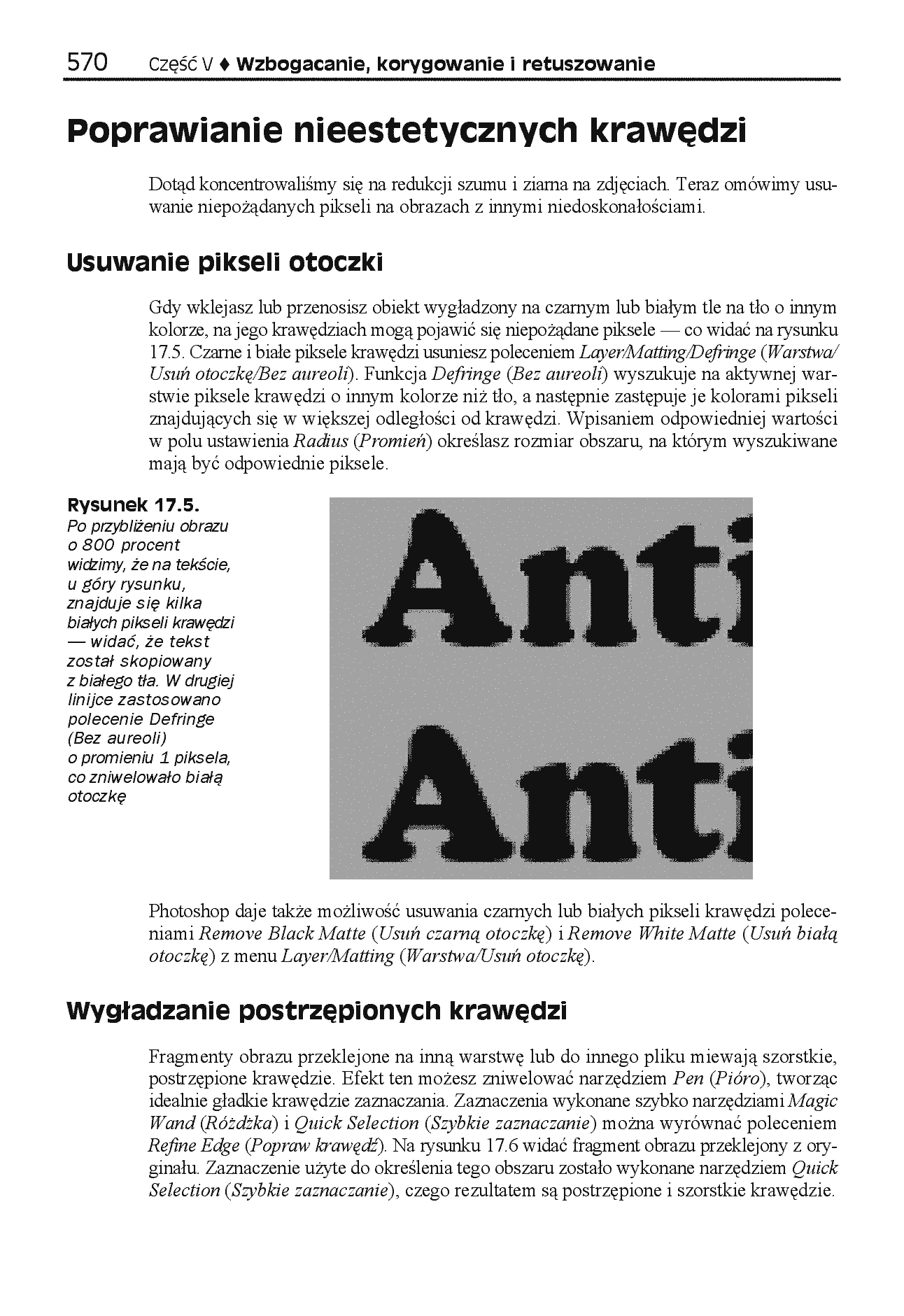 Fragment „Photoshop CS4/CS4 PL. Biblia” — strona 19 z 27
