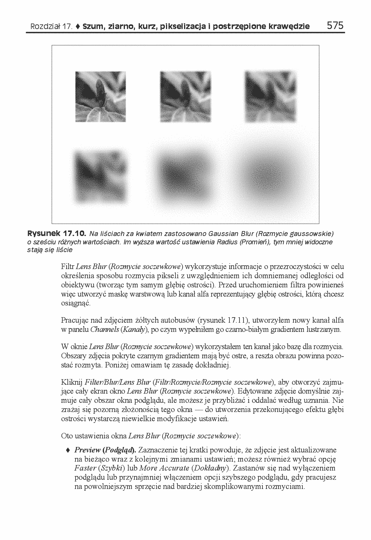 Fragment „Photoshop CS4/CS4 PL. Biblia” — strona 24 z 27