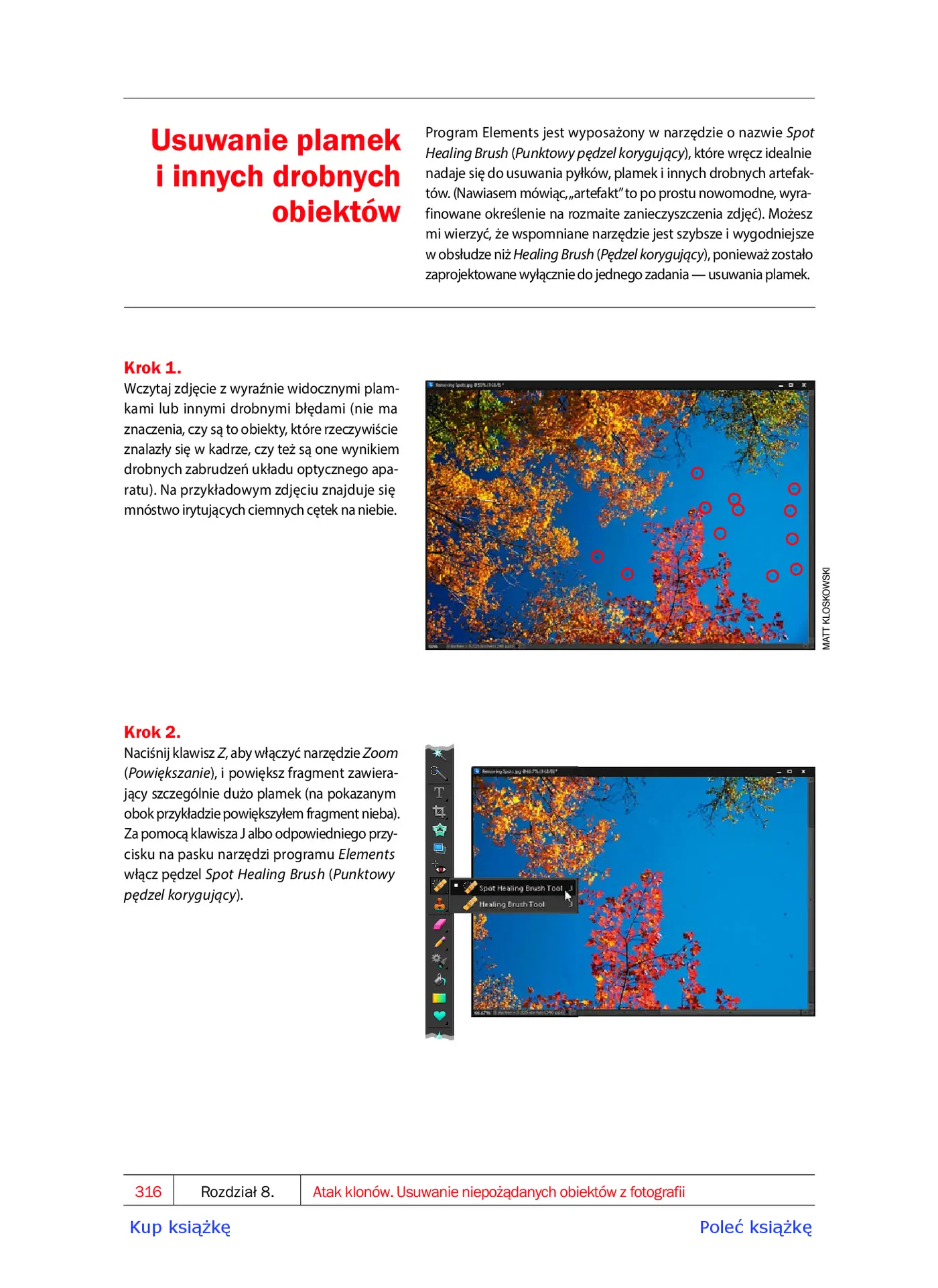 Fragment „Photoshop Elements 10. Perfekcyjna edycja zdjęć ze Scottem Kelbym” — strona 14 z 30