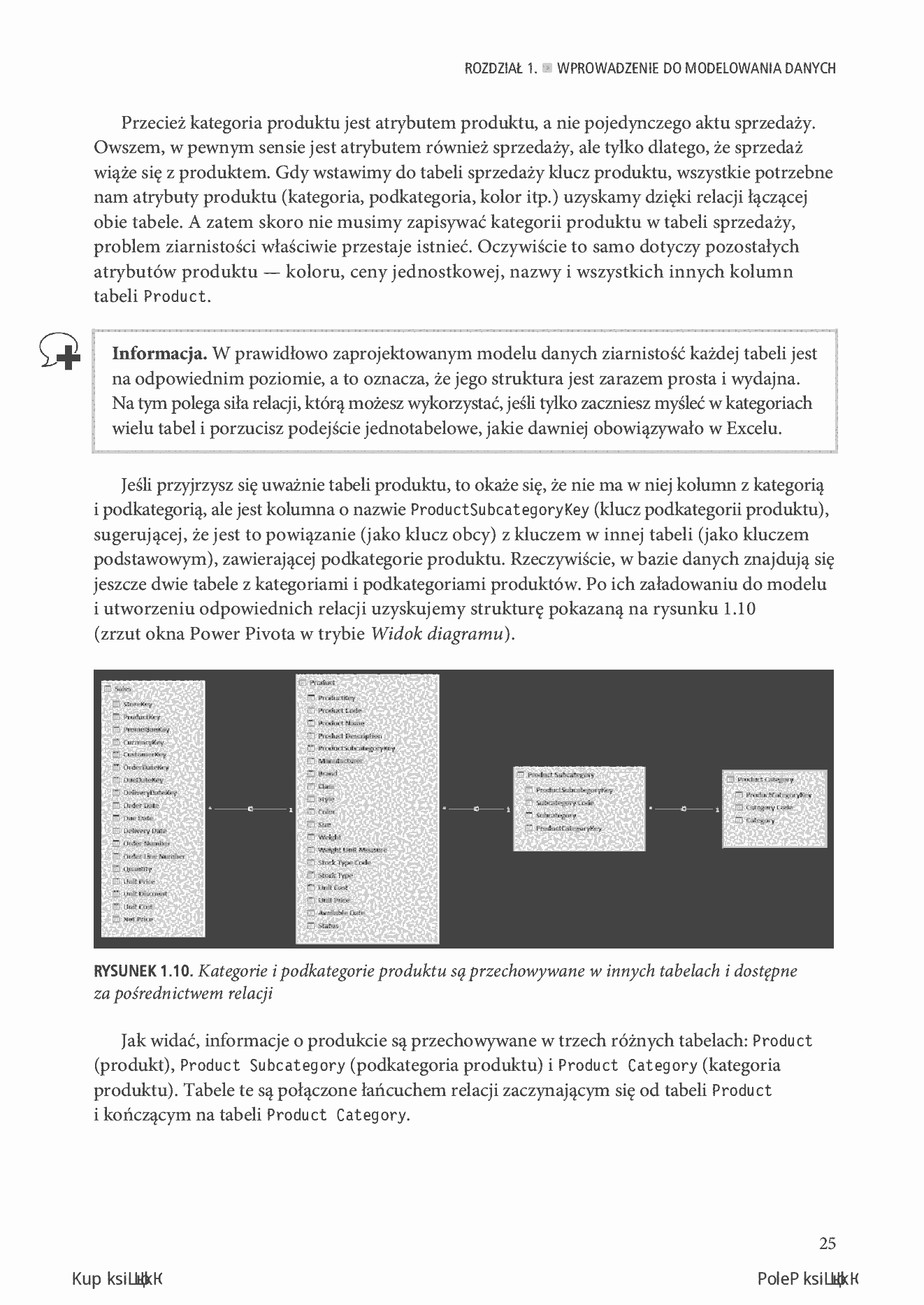 Fragment „Power BI i Power Pivot dla Excela. Analiza danych” — strona 19 z 30