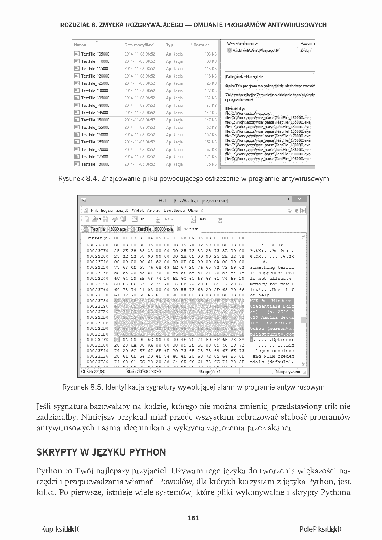 Fragment „Podręcznik pentestera. Bezpieczeństwo systemów informatycznych” — strona 11 z 24