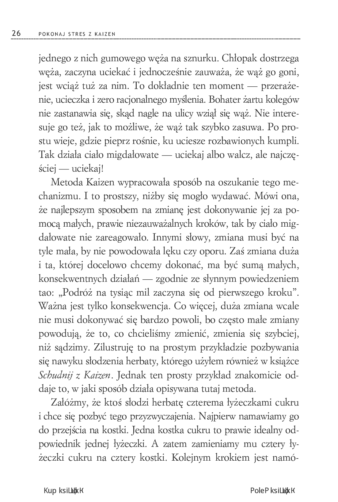 Fragment „Pokonaj stres z Kaizen” — strona 18 z 22
