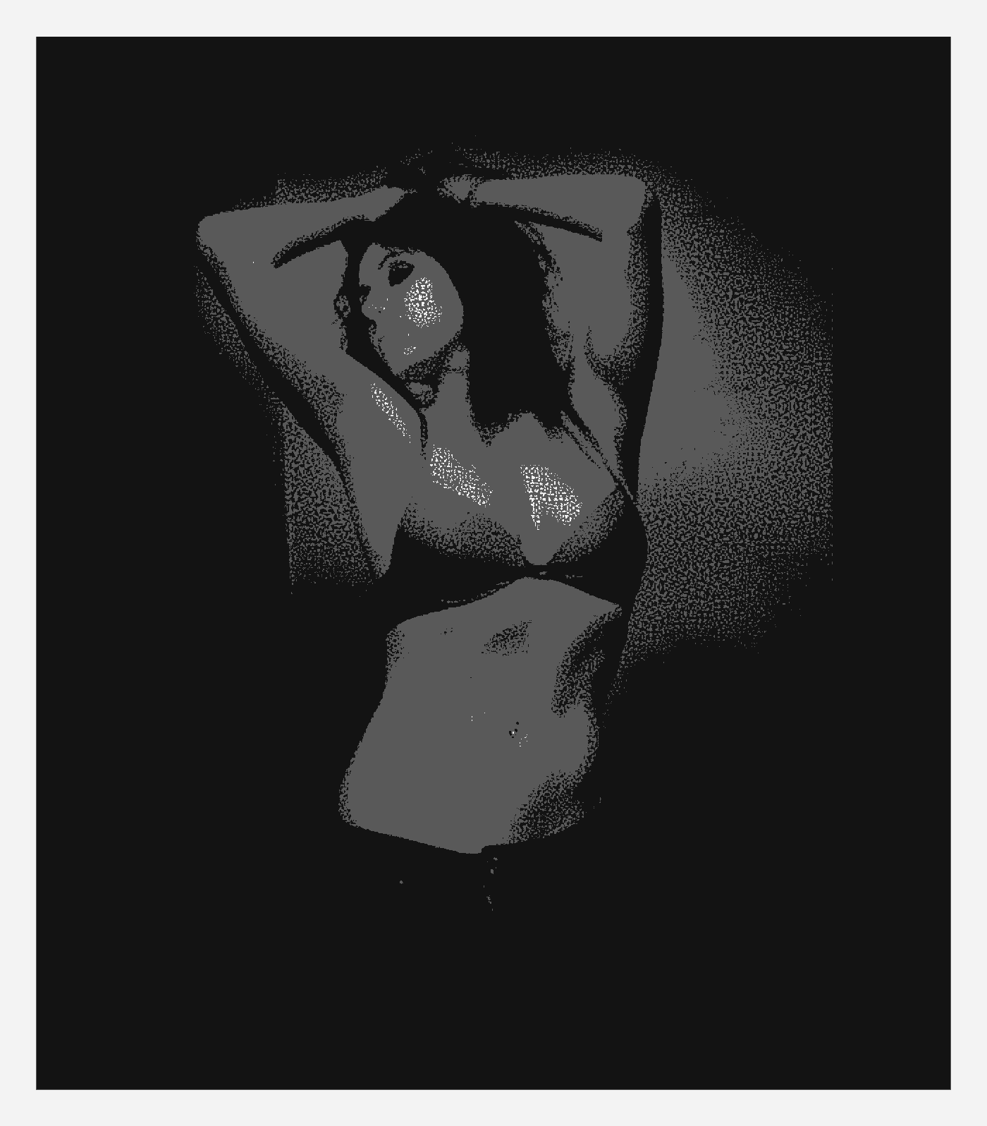 Fragment „Portrety. Kreatywna fotografia” — strona 10 z 25