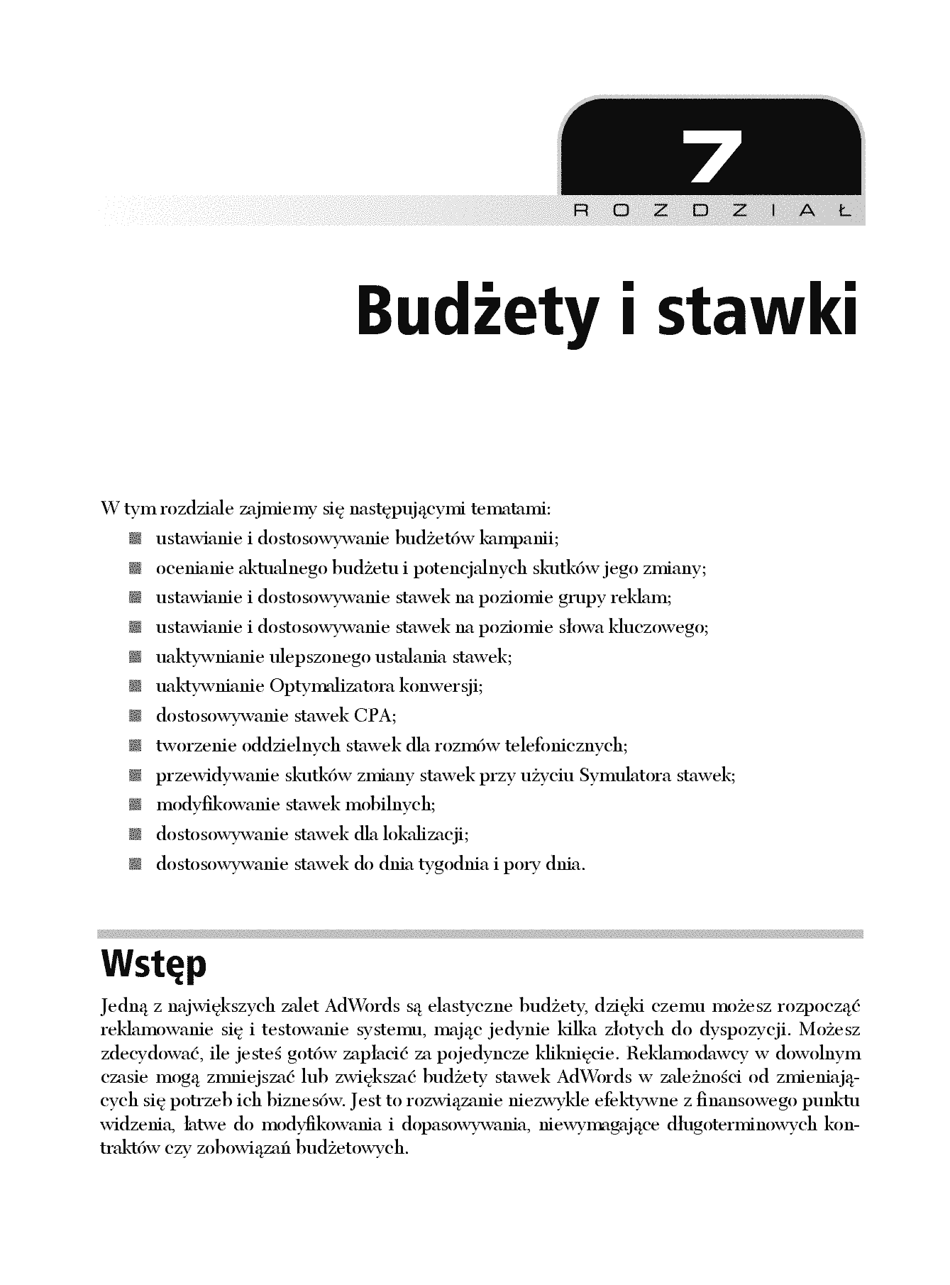 Fragment „Reklamuj się z Google. Skuteczne rozwiązania i przykłady” — strona 9 z 30