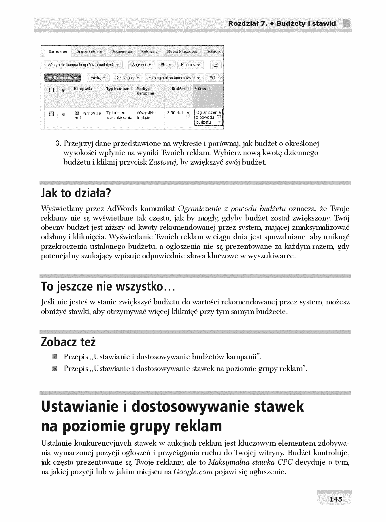 Fragment „Reklamuj się z Google. Skuteczne rozwiązania i przykłady” — strona 13 z 30