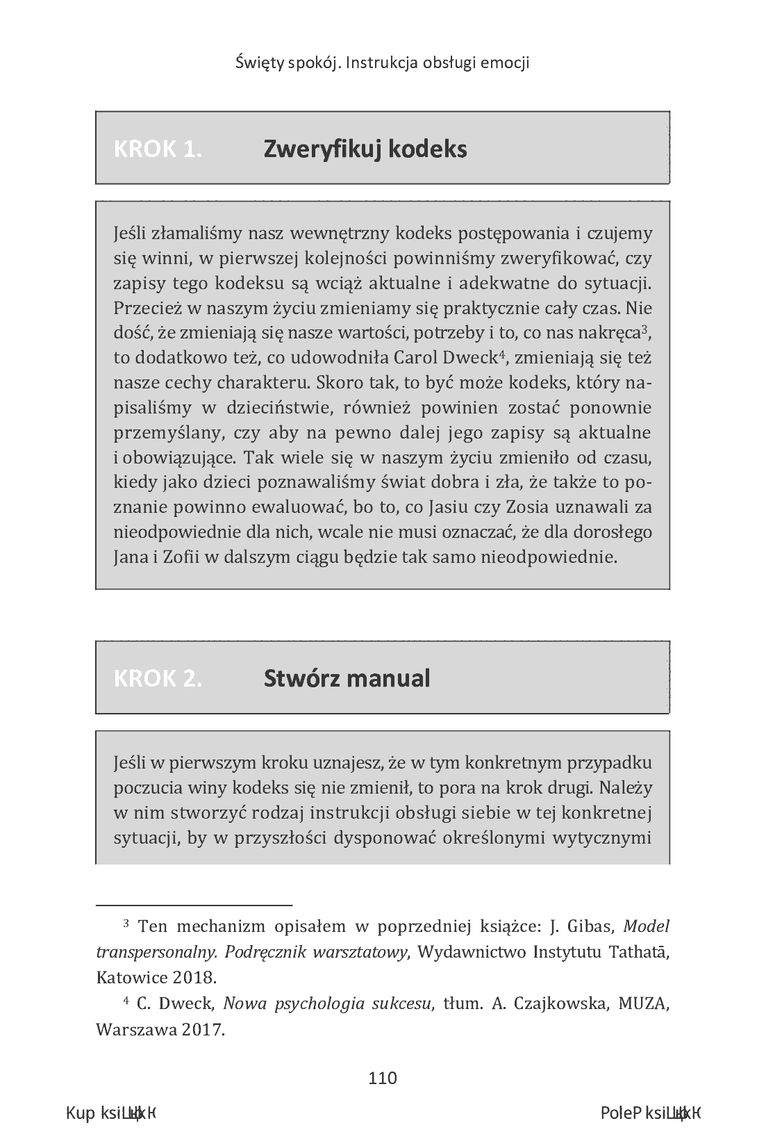 Fragment „Święty spokój. Instrukcja obsługi emocji” — strona 18 z 22