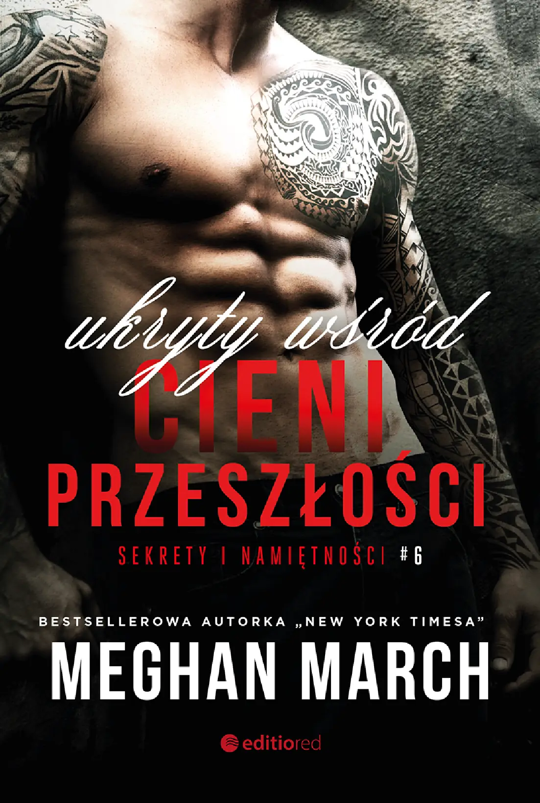 Fragment „Ukryty wśród cieni przeszłości. Sekrety i namiętności #6” — strona 1 z 18