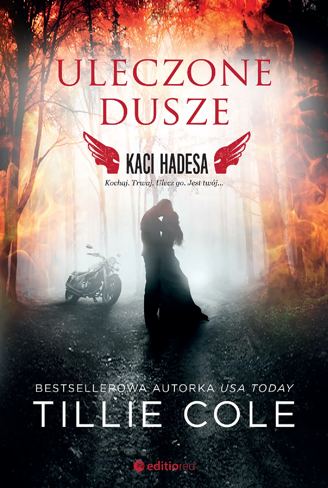 Fragment „Uleczone dusze. Kaci Hadesa” — strona 1 z 10
