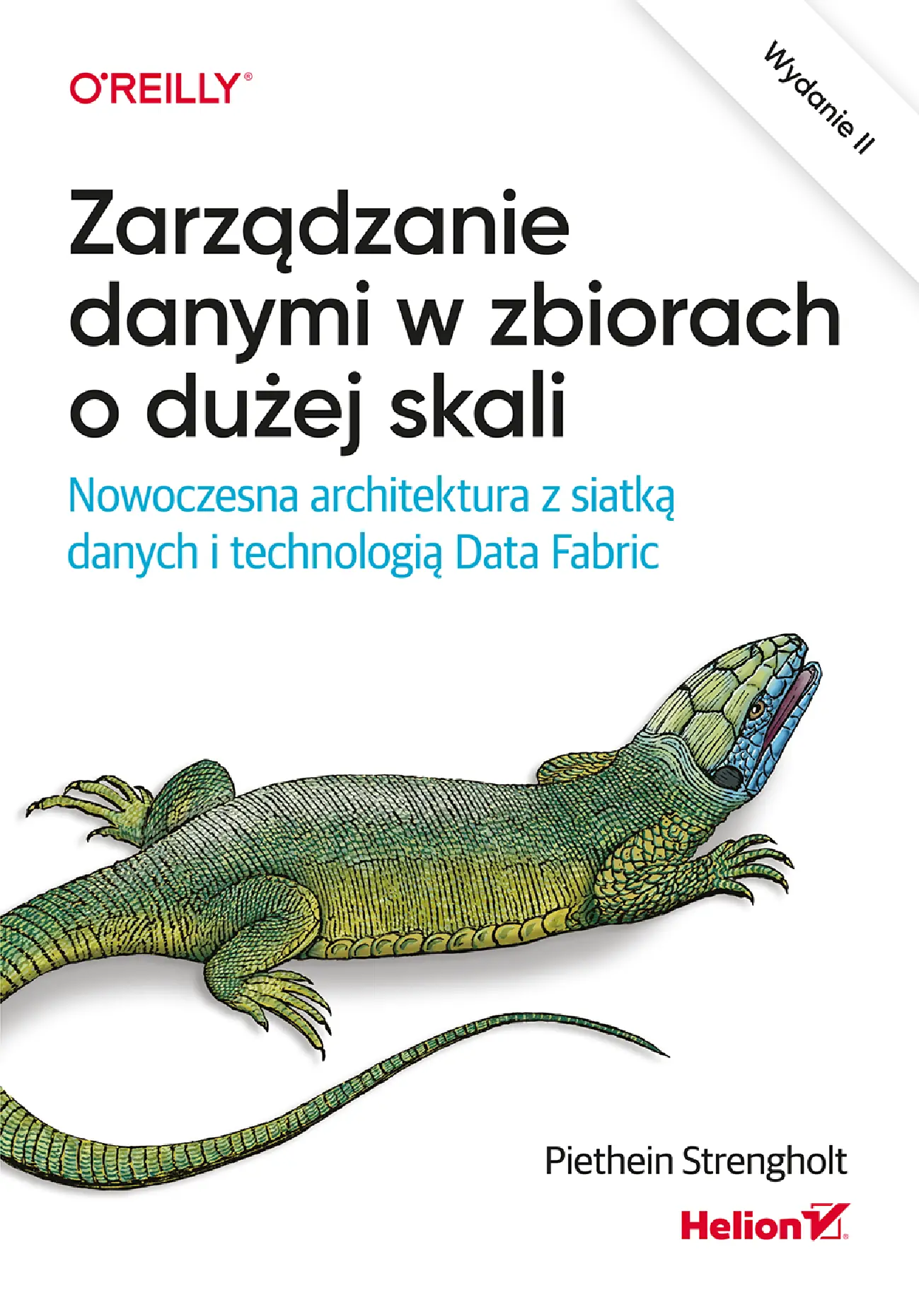 Fragment „Zarządzanie danymi w zbiorach o dużej skali. Nowoczesna architektura z siatką danych i technologią Data Fabric. Wydanie II” — strona 1 z 30