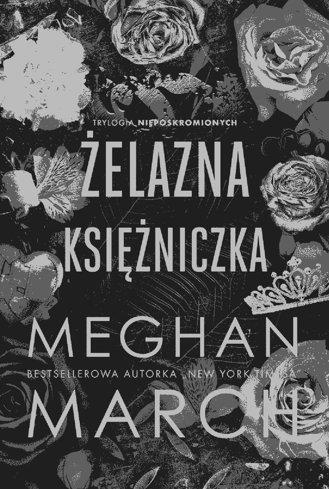 Fragment „Żelazna księżniczka. Trylogia Nieposkromionych #2” — strona 1 z 20